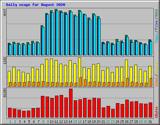 Daily usage for August 2020