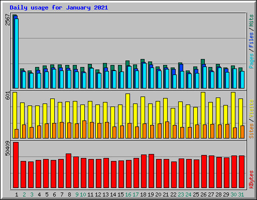 Daily usage for January 2021