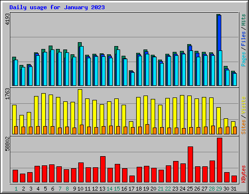 Daily usage for January 2023