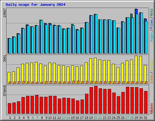 Daily usage for January 2024