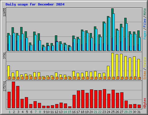 Daily usage for December 2024