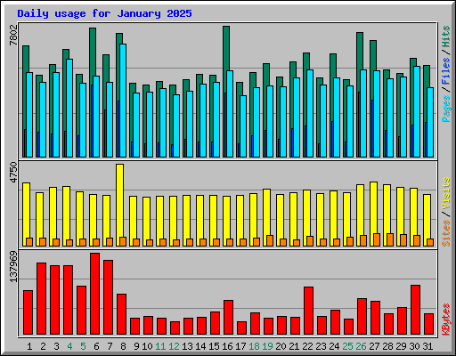 Daily usage for January 2025