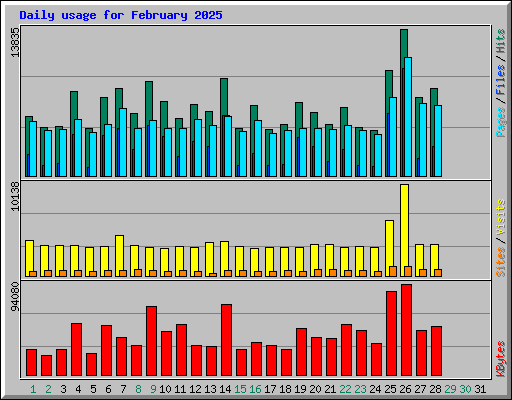 Daily usage for February 2025