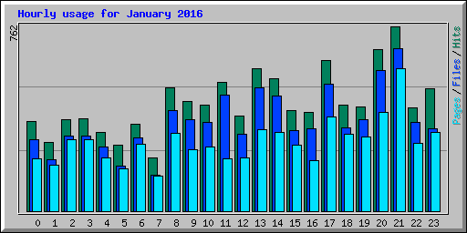 Hourly usage for January 2016
