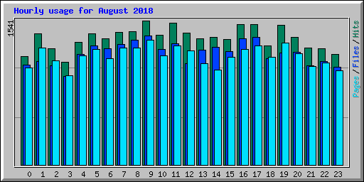 Hourly usage for August 2018