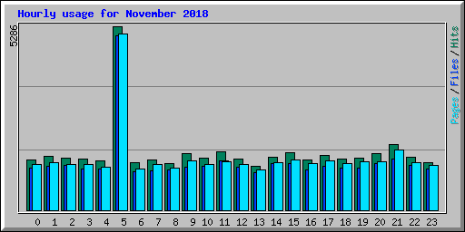 Hourly usage for November 2018