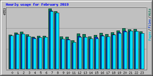 Hourly usage for February 2019