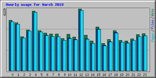 Hourly usage for March 2019