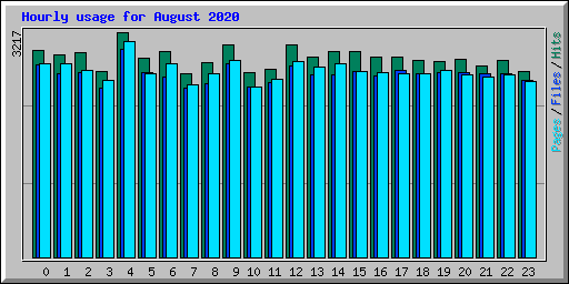 Hourly usage for August 2020