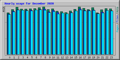 Hourly usage for December 2020