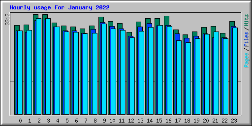 Hourly usage for January 2022