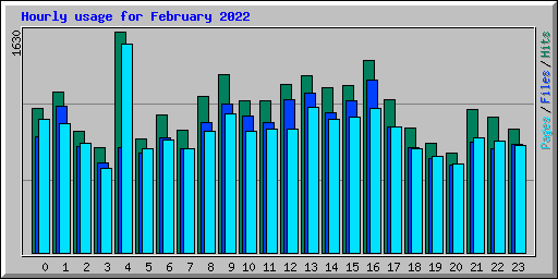 Hourly usage for February 2022