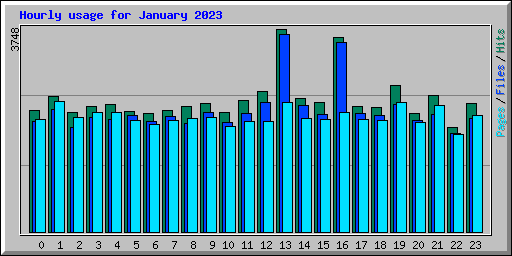 Hourly usage for January 2023