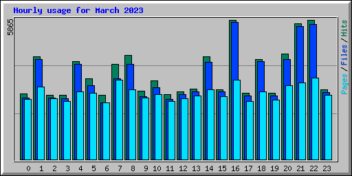 Hourly usage for March 2023