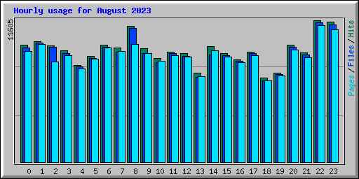 Hourly usage for August 2023