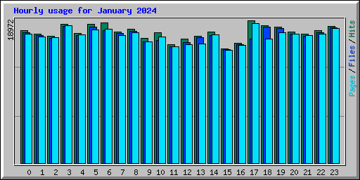 Hourly usage for January 2024