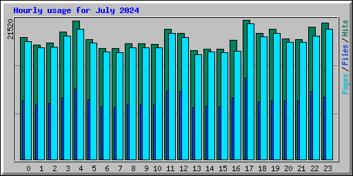Hourly usage for July 2024