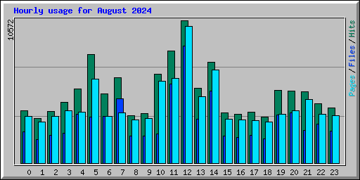 Hourly usage for August 2024