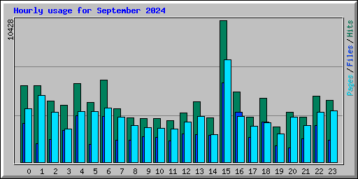 Hourly usage for September 2024