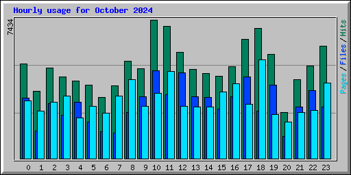 Hourly usage for October 2024