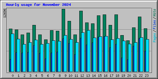 Hourly usage for November 2024