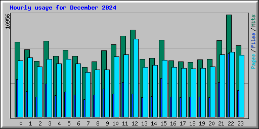 Hourly usage for December 2024