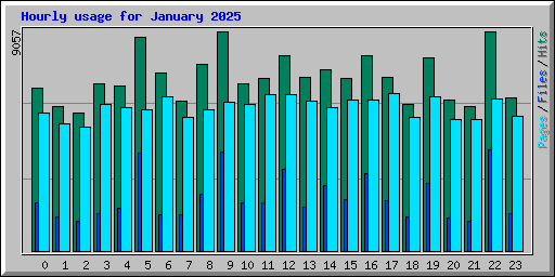 Hourly usage for January 2025