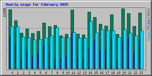 Hourly usage for February 2025