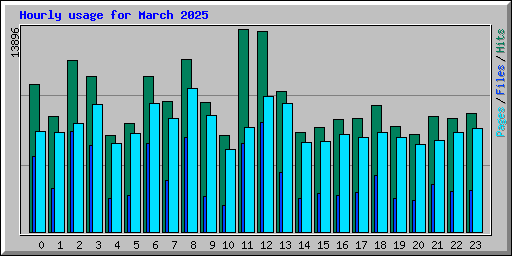 Hourly usage for March 2025