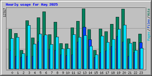 Hourly usage for May 2025