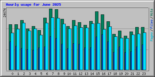 Hourly usage for June 2025