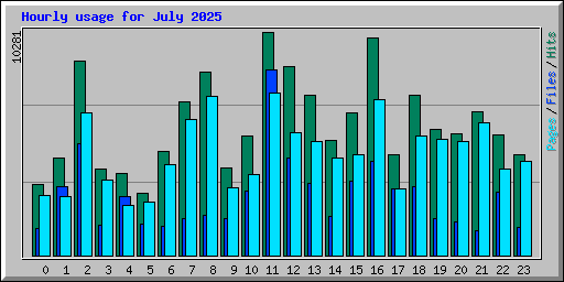 Hourly usage for July 2025