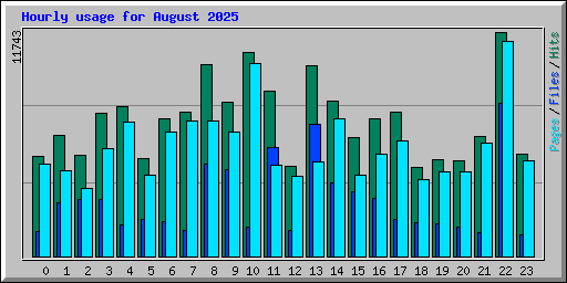 Hourly usage for August 2025
